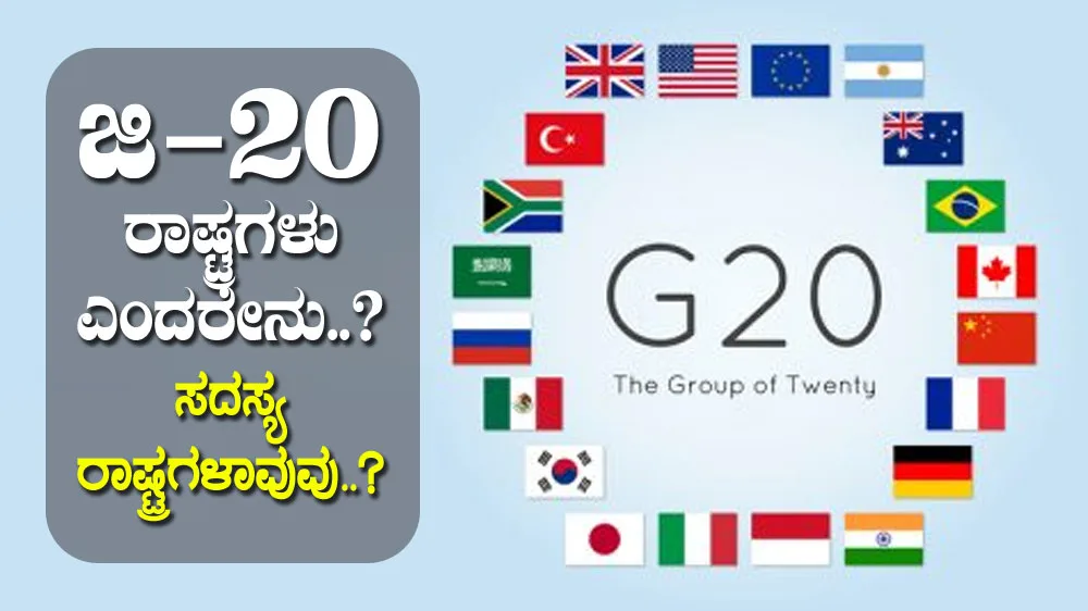 G20