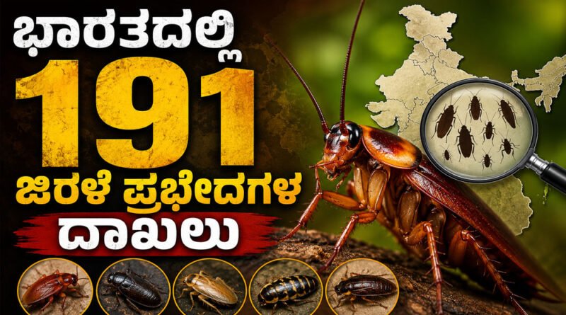 Cockroach Species