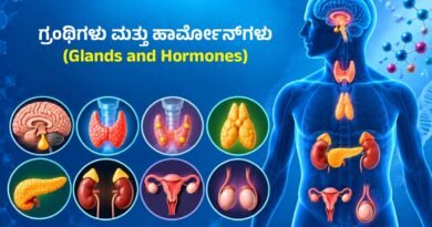 Glands and Hormones