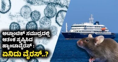 Hantavirus