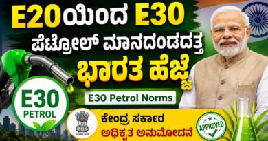 India-Notifies-E30-Petrol-N