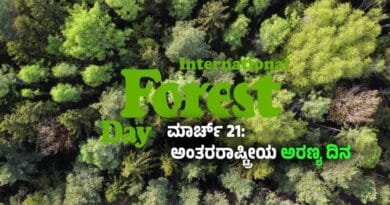 International Day of Forests