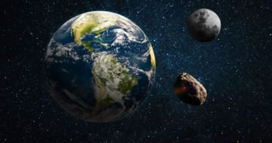 Mini-Moon