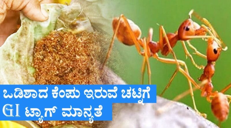 Red-Ant-Chutney