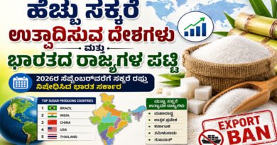 Top-Sugar-Producing-Countri