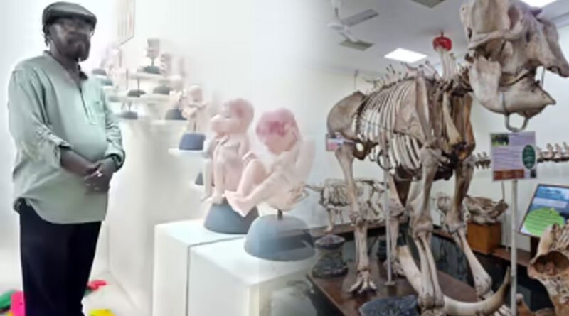 first private medical museum