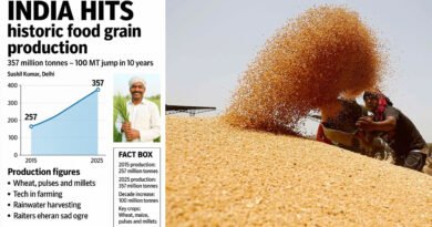 food-grain-production
